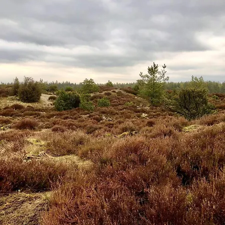 Vakantiehuis 4 Person In Grindsted-by Traum Grindsted