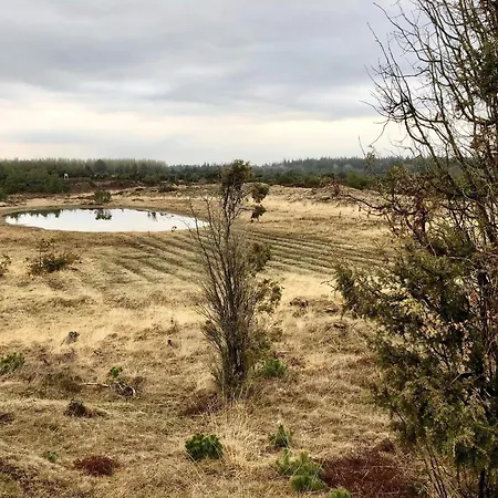 Vakantiehuis 4 Person In Grindsted-by Traum